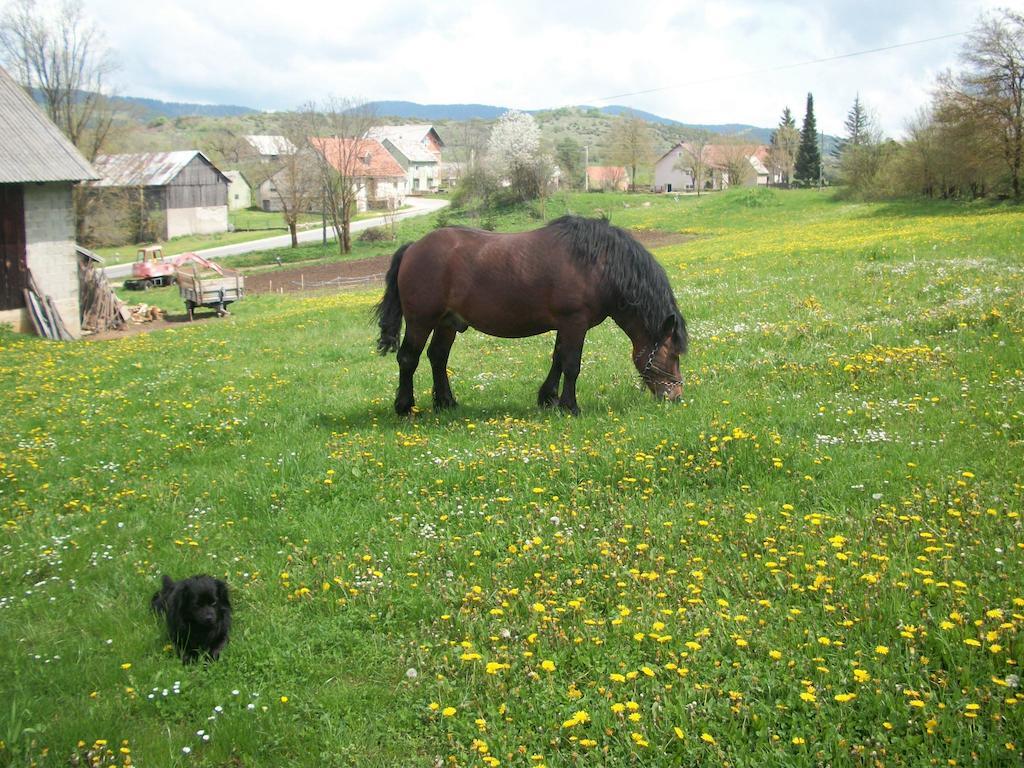 House Veljko Villa Vrhovine Luaran gambar