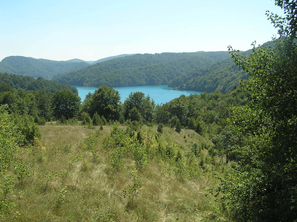 House Veljko Villa Vrhovine Luaran gambar