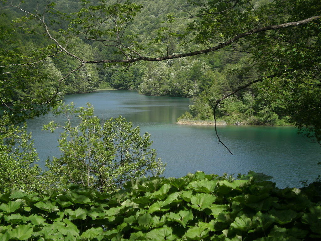 House Veljko Villa Vrhovine Luaran gambar