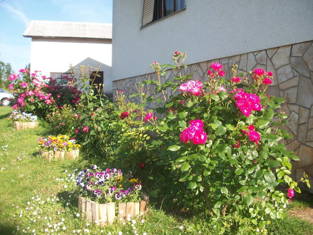 House Veljko Villa Vrhovine Luaran gambar