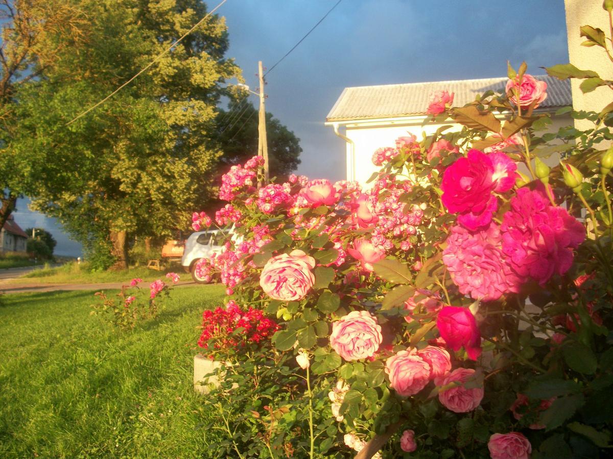 House Veljko Villa Vrhovine Luaran gambar