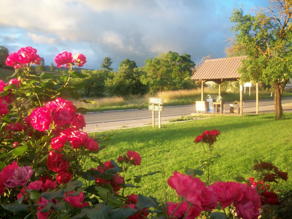 House Veljko Villa Vrhovine Luaran gambar